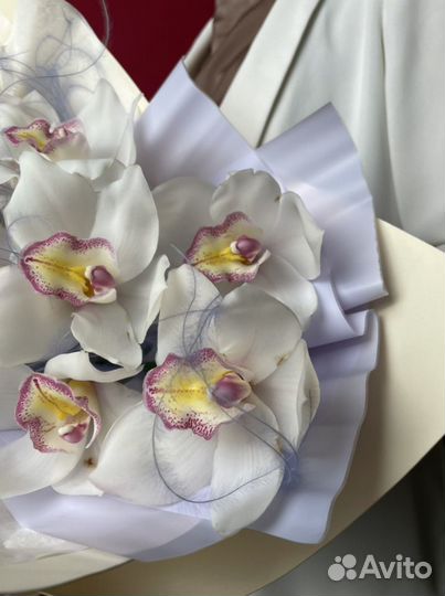 Букет из белых орхидеи