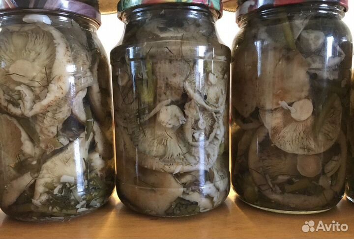 Грибы грузди