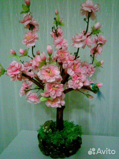 Бонсай для интерьера