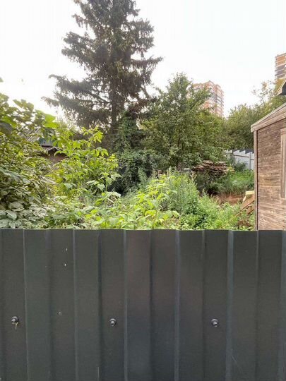 Участок 5,5 сот. (ИЖС)