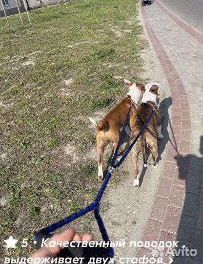 Товары для кошек и собак