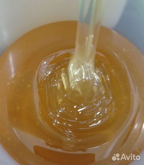 Липа мед 2023 оптом