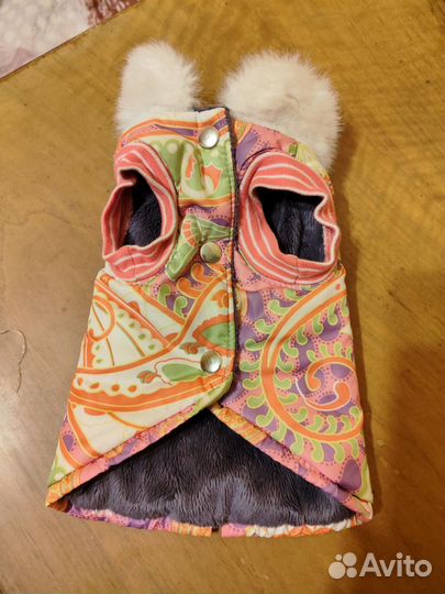 Одежда для собак мелких пород