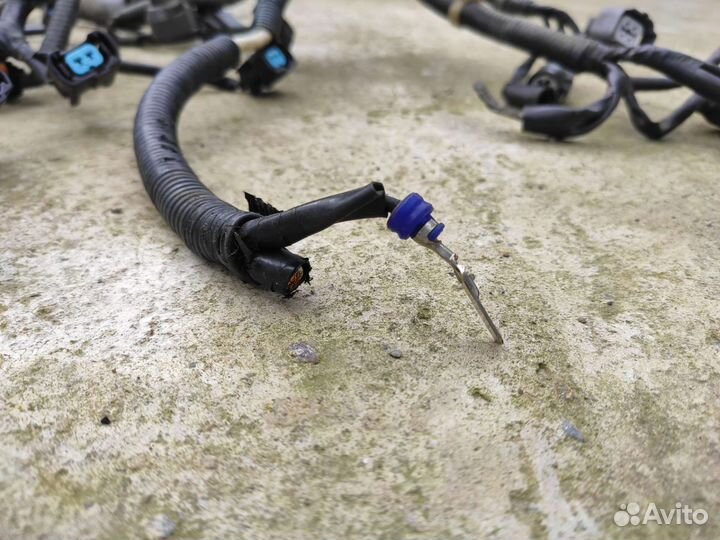 Проводка двс D16A