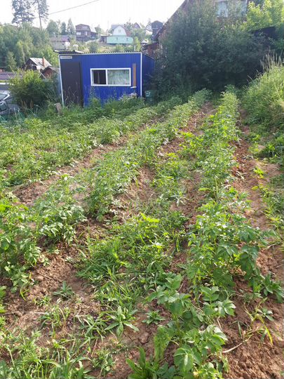 Дача 20 м² на участке 6 сот.