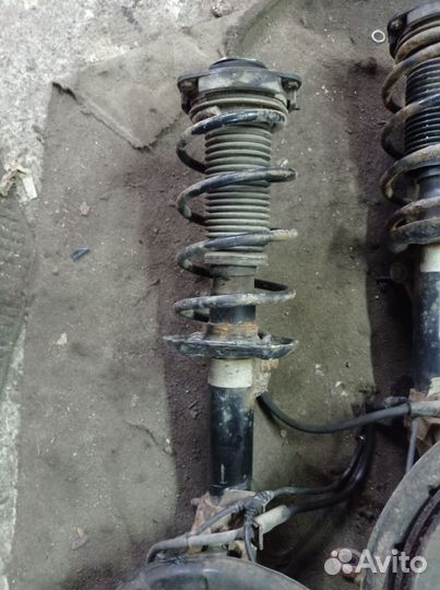 Амортизаторы передние Шкода Октавия А-5