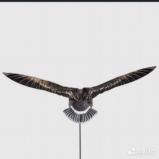 Махокрыл гусь Белолобый электромеханический