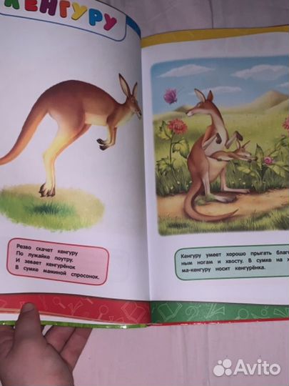 Книга для детей 1-2 года