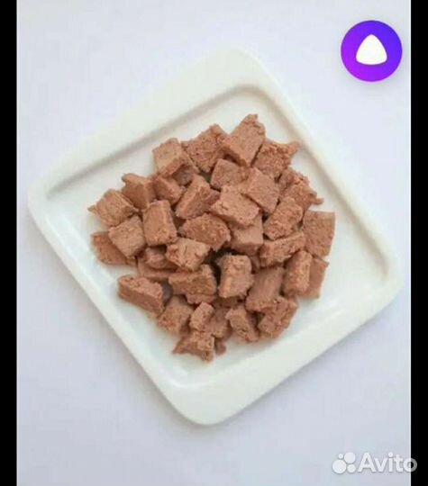 Корм Зоогурман holistic (паштет) 5шт