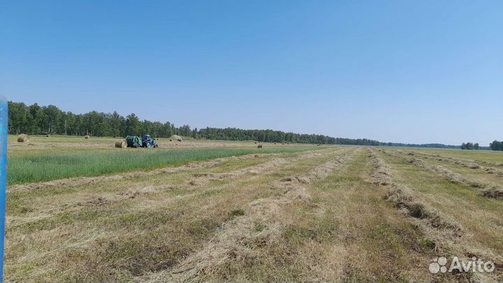 Сено в рулонах