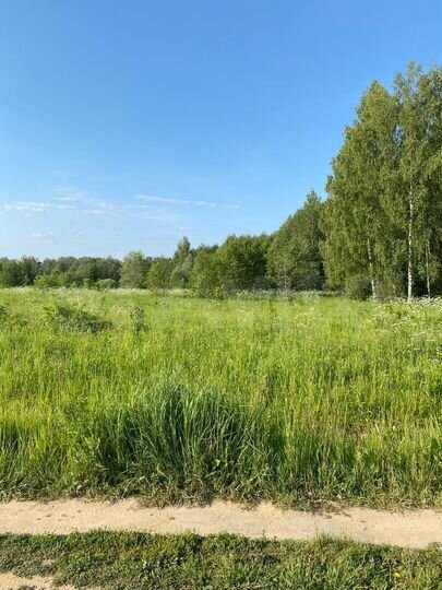 Участок 100 сот. (СНТ, ДНП)