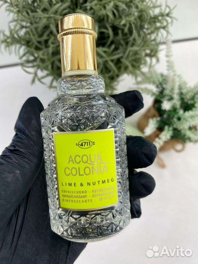 Acqua Colonia Lime & Nutmeg