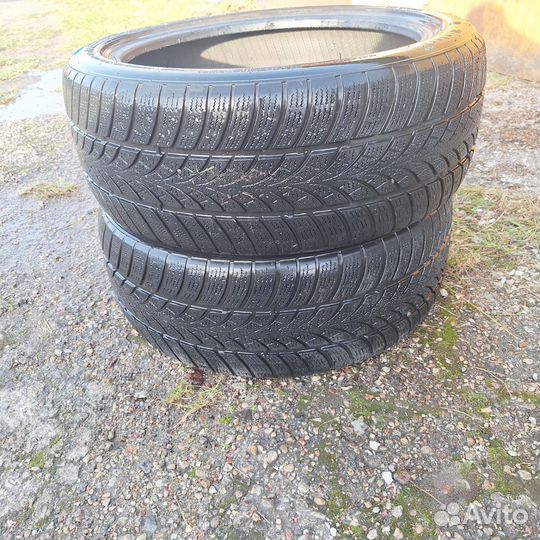 Triangle WinterX TW401 215/45 R17 91V