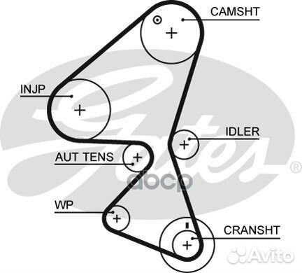 Зубчатый ремень привода грм PowerGrip 5598XS G
