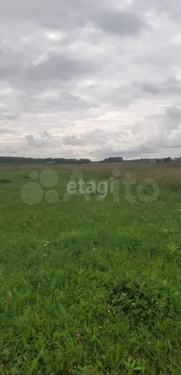 Участок 10,4 сот. (СНТ, ДНП)