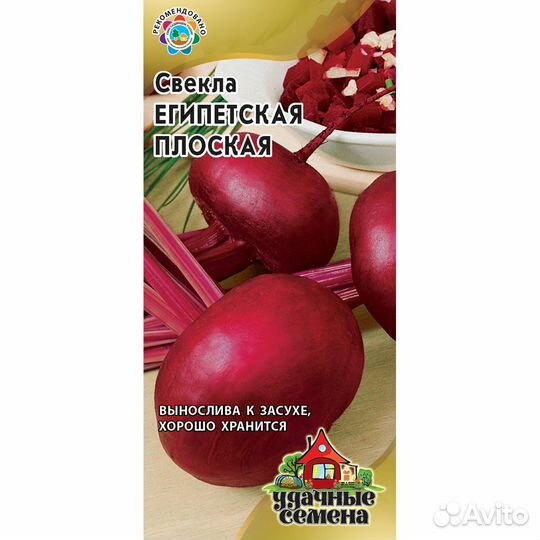 Свекла Египетская плоская