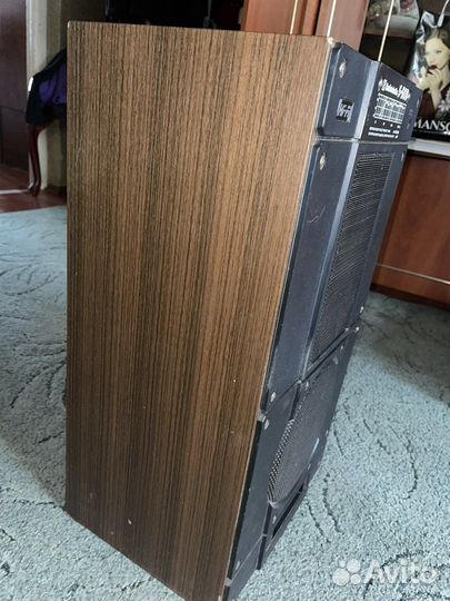 Колонки Radiotehnika S50-B