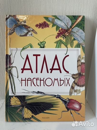 Детские развивающие книги