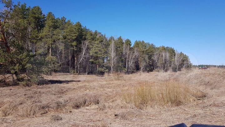 Участок 50 сот. (ИЖС)