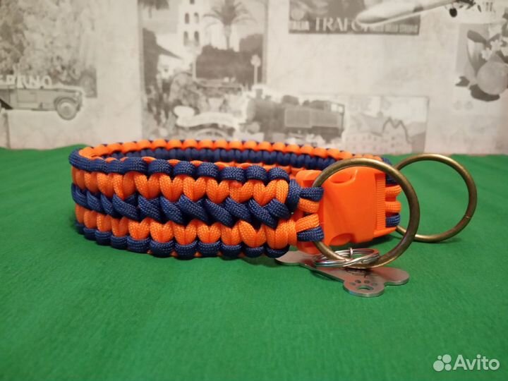Ошейник для собак из паракорда