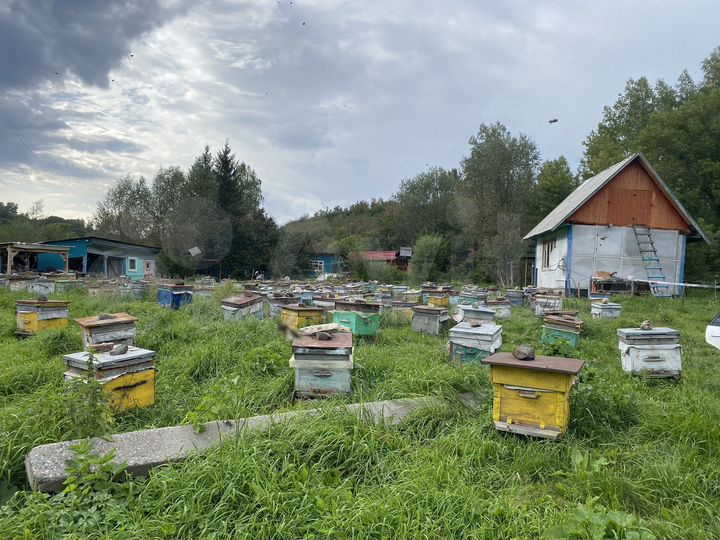 Участок 20 сот. (ИЖС)