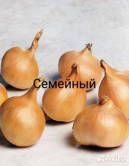 Лук Эксибишен F1(семена)