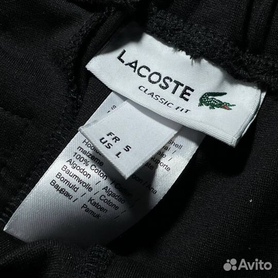 Брюки мужские Lacoste premium