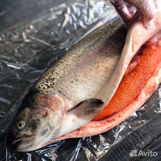 Охлаждённая свежая форель