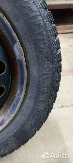 Gislaved Nord Frost 200 175/65 R14