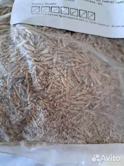 Газон универсальный семена