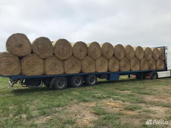 Сено в рулонах