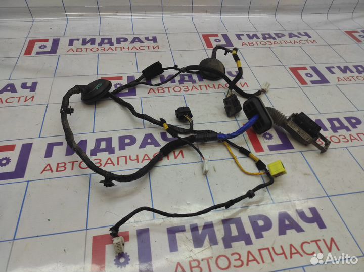 Проводка двери передней правой Kia Soul 2 (PS) 916