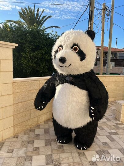 Аренда карнавальных костюмов денозавры мишки