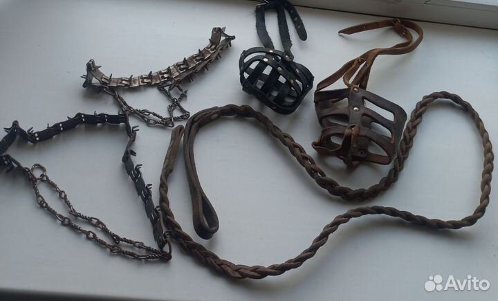 Ошейники, намордники и поводок одним лотом
