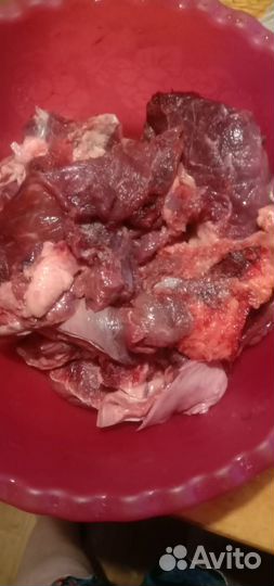 Лакомства для животных