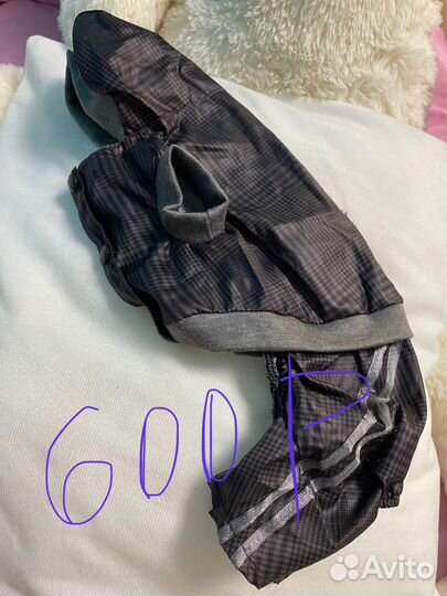 Одежда для собак