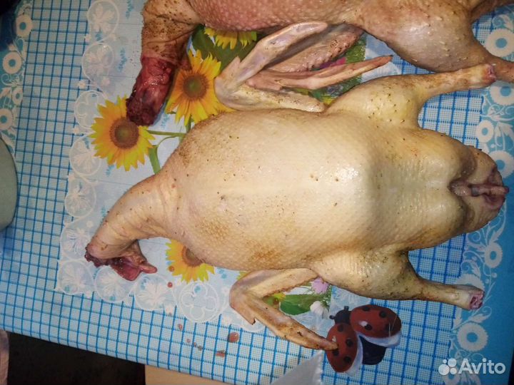 Продукты питания