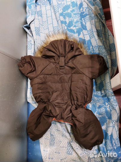 Одежда для маленьких собак бу