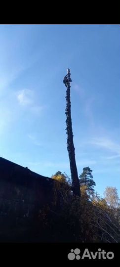 Удаление деревьев