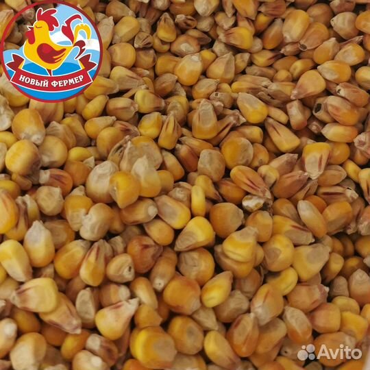 Зерно для животных