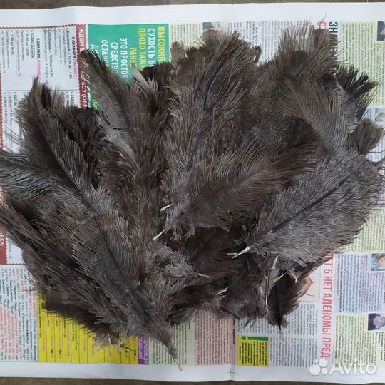 Перья страуса. цена за 10 шт