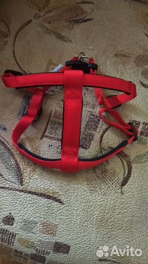Шлейка для корги, бигля