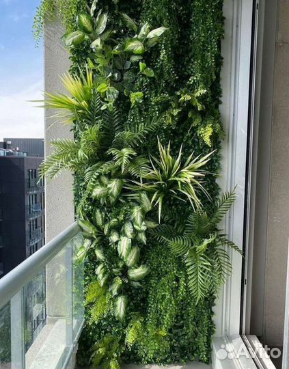 Вертикальное озеленение