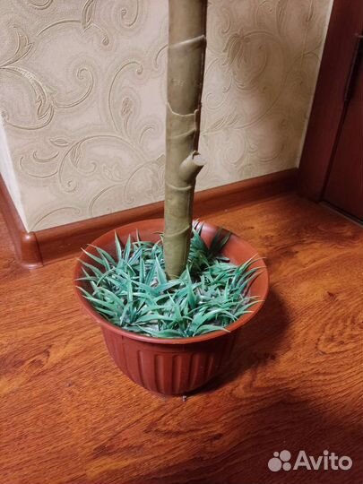 Куст фикуса искуственный. Торг