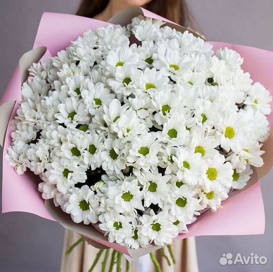 Хризантема Доставка цветов