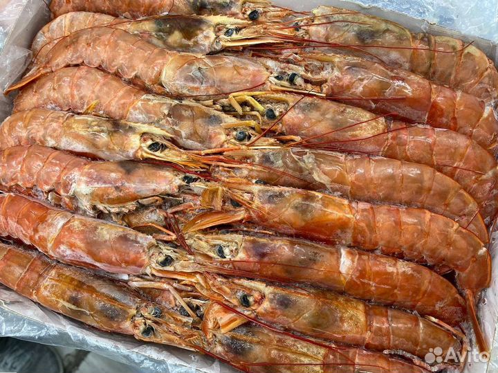 Лангустины L1 крупный. Свежий улов