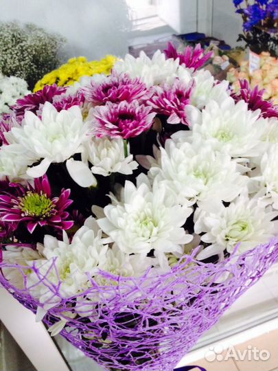 Букет 11 хризантем. Доставка