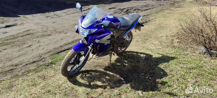Honda cbr 300