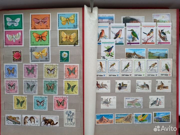 Большой альбом.старин.фауна.флора марки