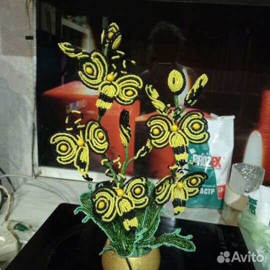 Орхидея пчёлка